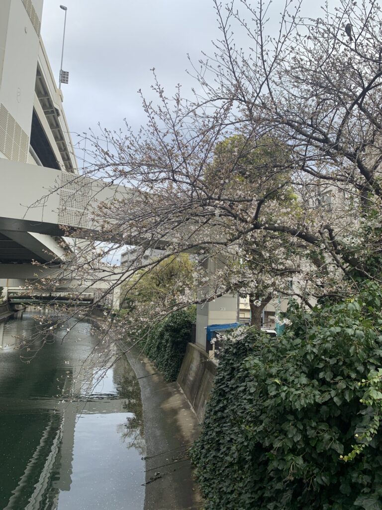 【春のスタートダッシュ～学校説明会～】